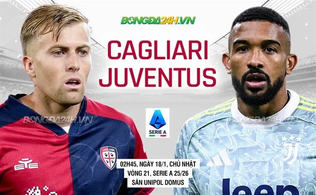 Đá gà Miền Bắc và Miền Nam tại i9bet141 khuyến mãi